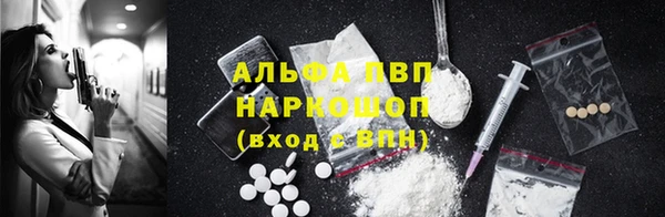 прущие грибы Зерноград