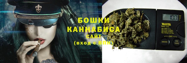 прущие грибы Зерноград