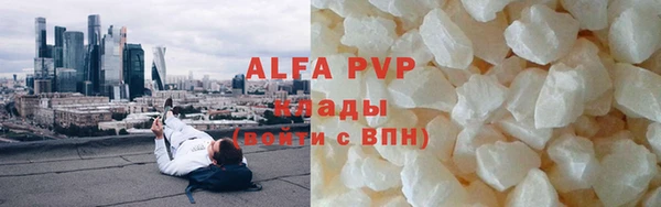 прущие грибы Зерноград