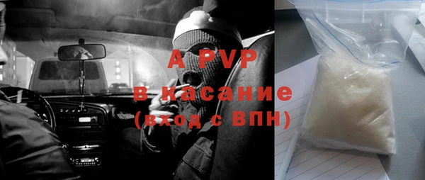 прущие грибы Зерноград