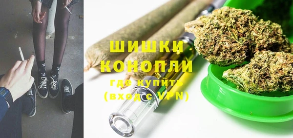 прущие грибы Зерноград