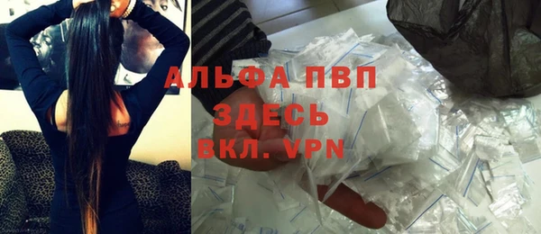 прущие грибы Зерноград