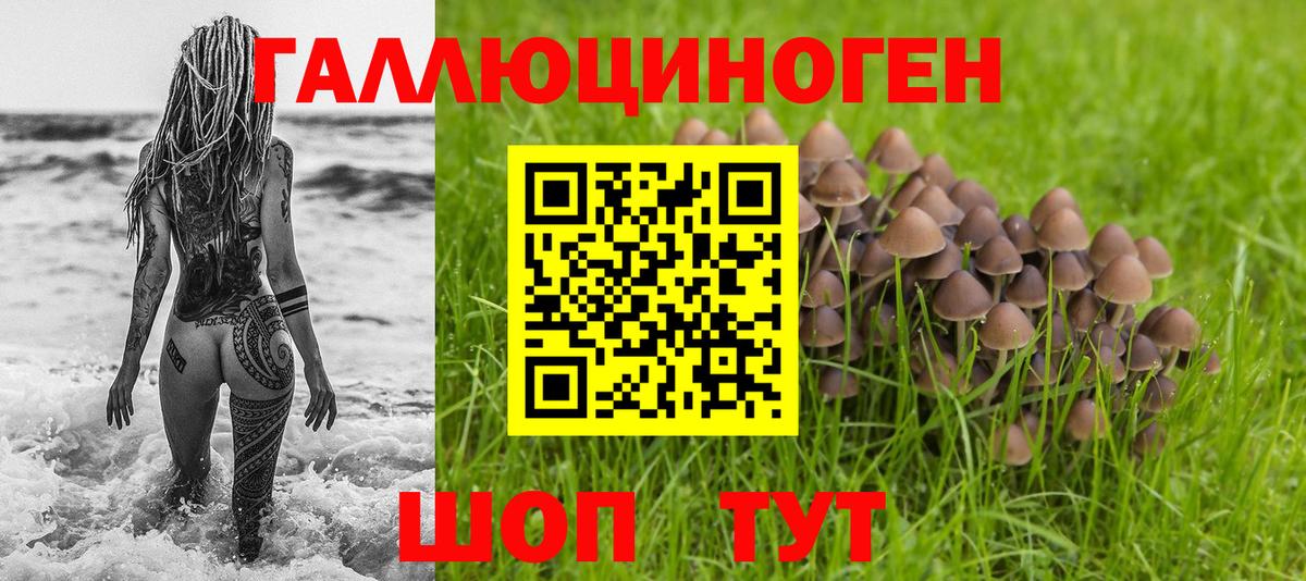 Галлюциногенные грибы GOLDEN TEACHER Каменка