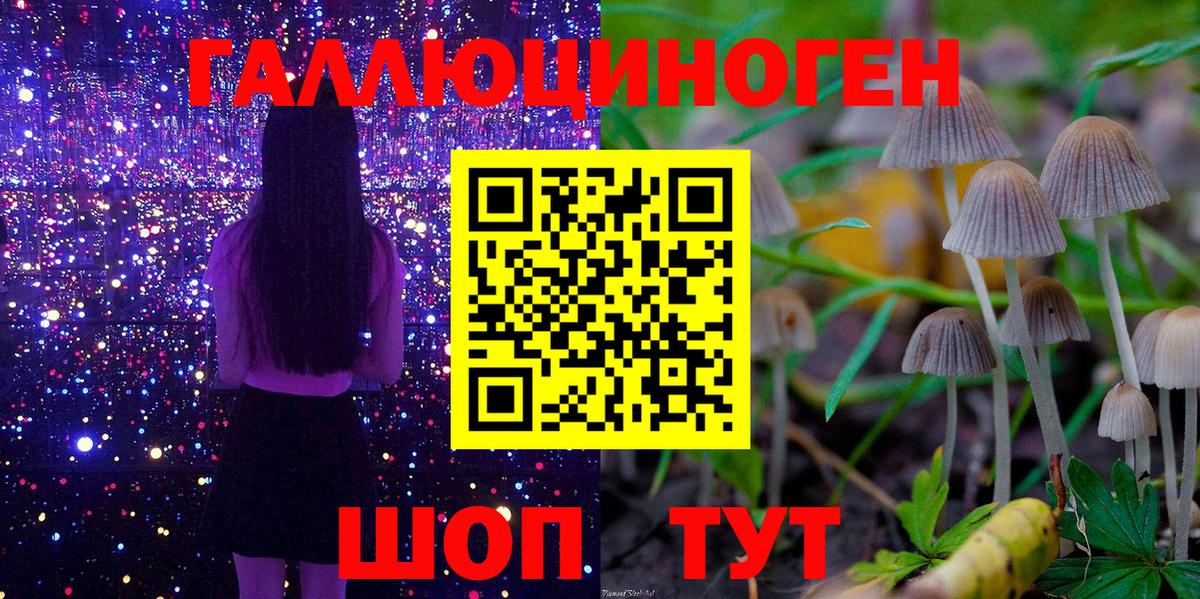 Каменка  Псилоцибиновые грибы MAGIC MUSHROOMS  Вход с VPN  Псилоцибиновые грибы MAGIC MUSHROOMS 