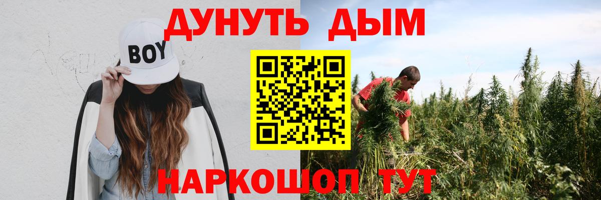 Каменка  Бошки Шишки VHQ  Бошки марихуана VHQ  Вход с VPN 